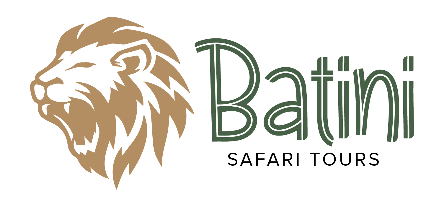 Batini Safari Tours Tours