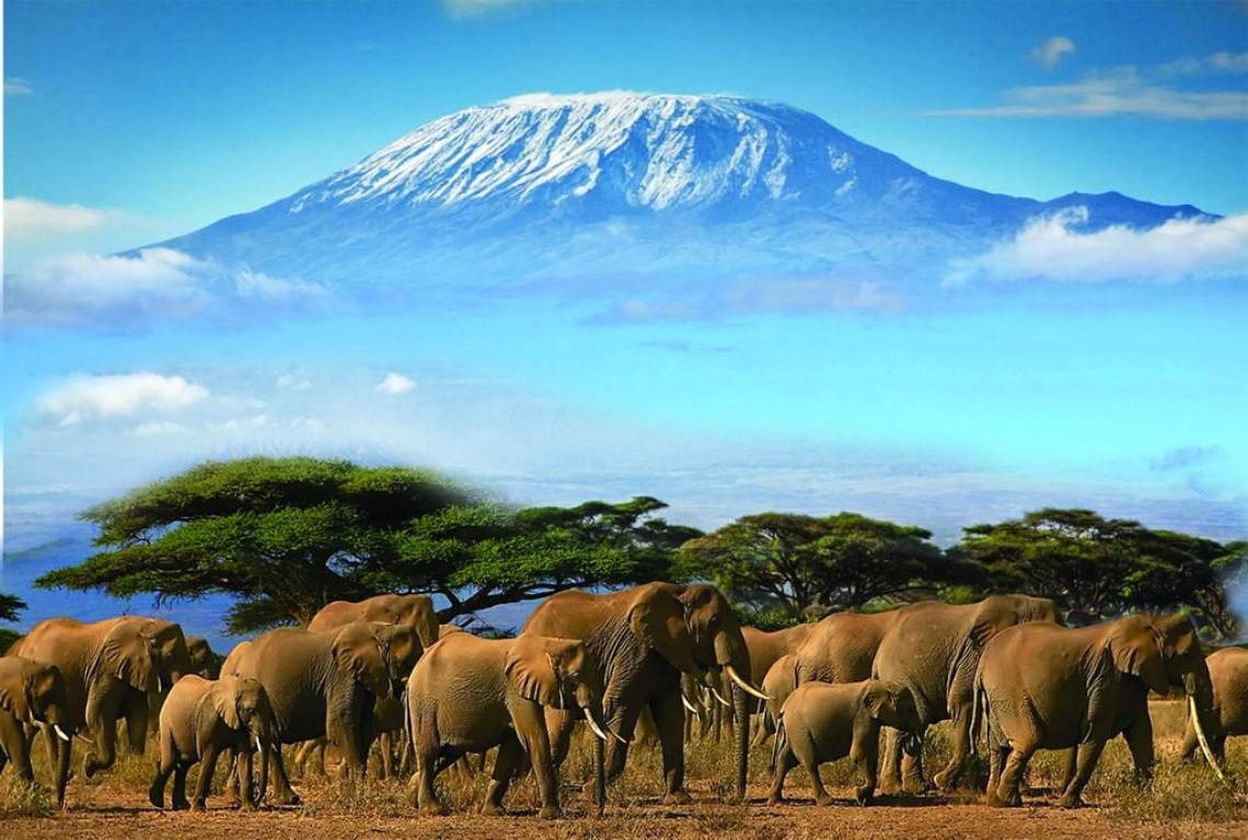 2 Days Amboseli National Park Foot of Kilimanjaro Safari