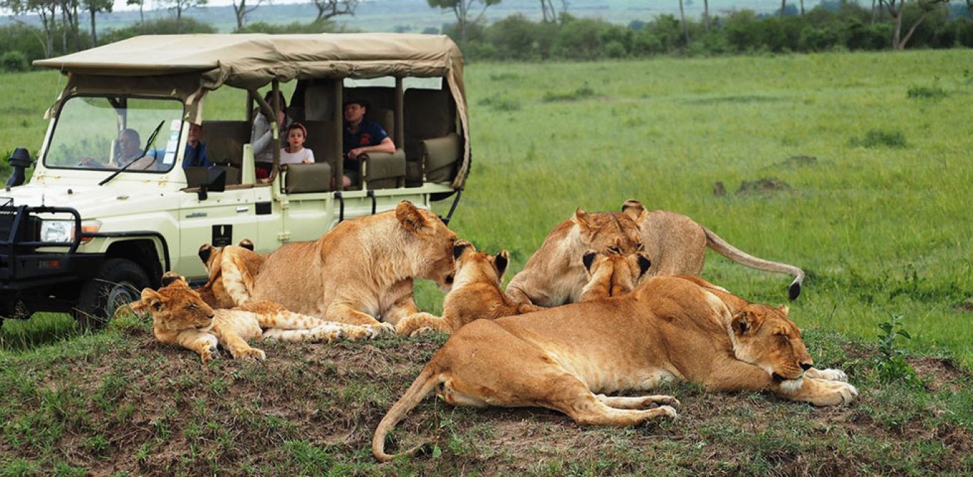 3 Days Masai Mara Safari in Kenya