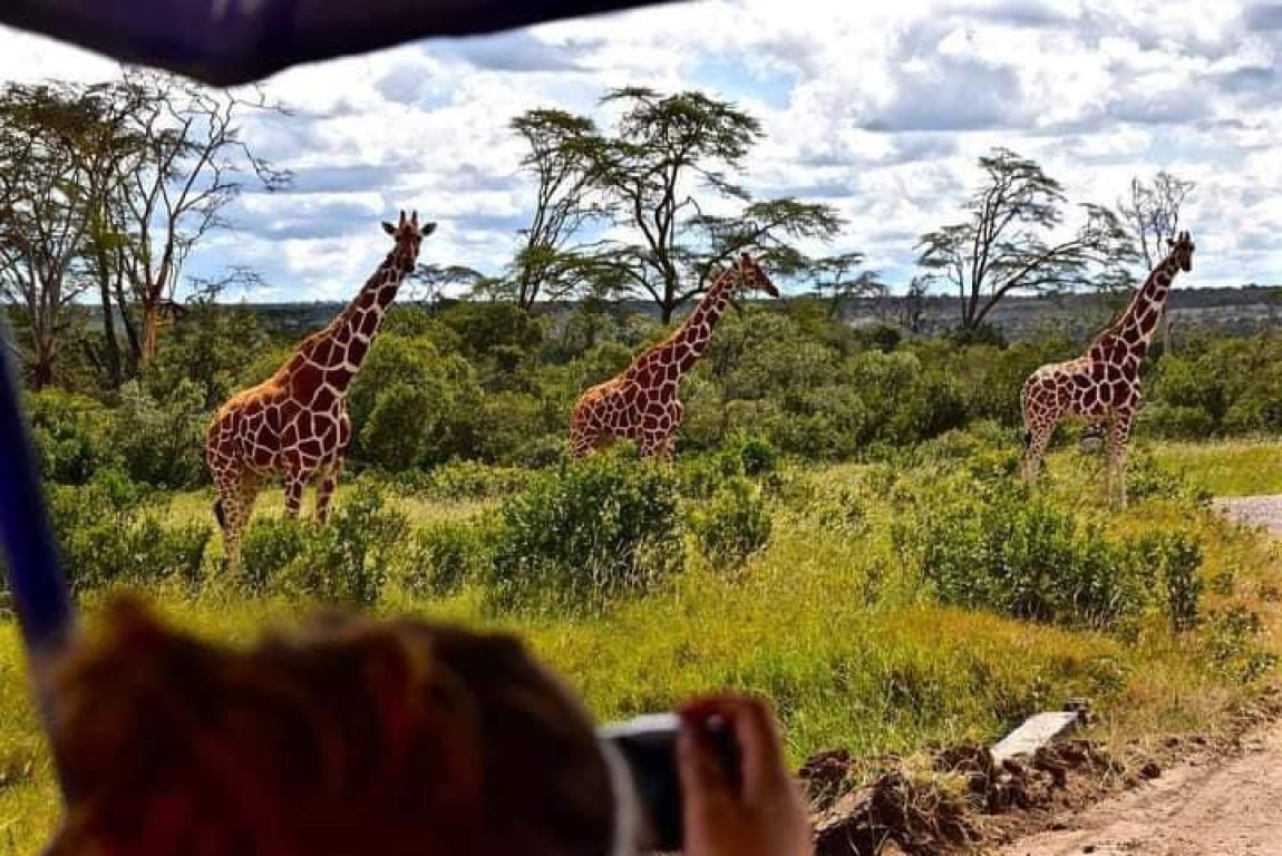 3 Days Tanzania Camping Safari - Tarangire, Ngorongoro Crater and Lake Manyara