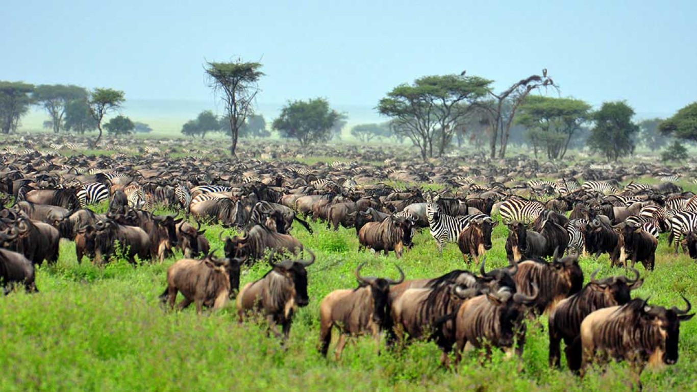 4 Days Tanzania Lodge Safari - Tarangire, Serengeti and Ngorongoro Crater