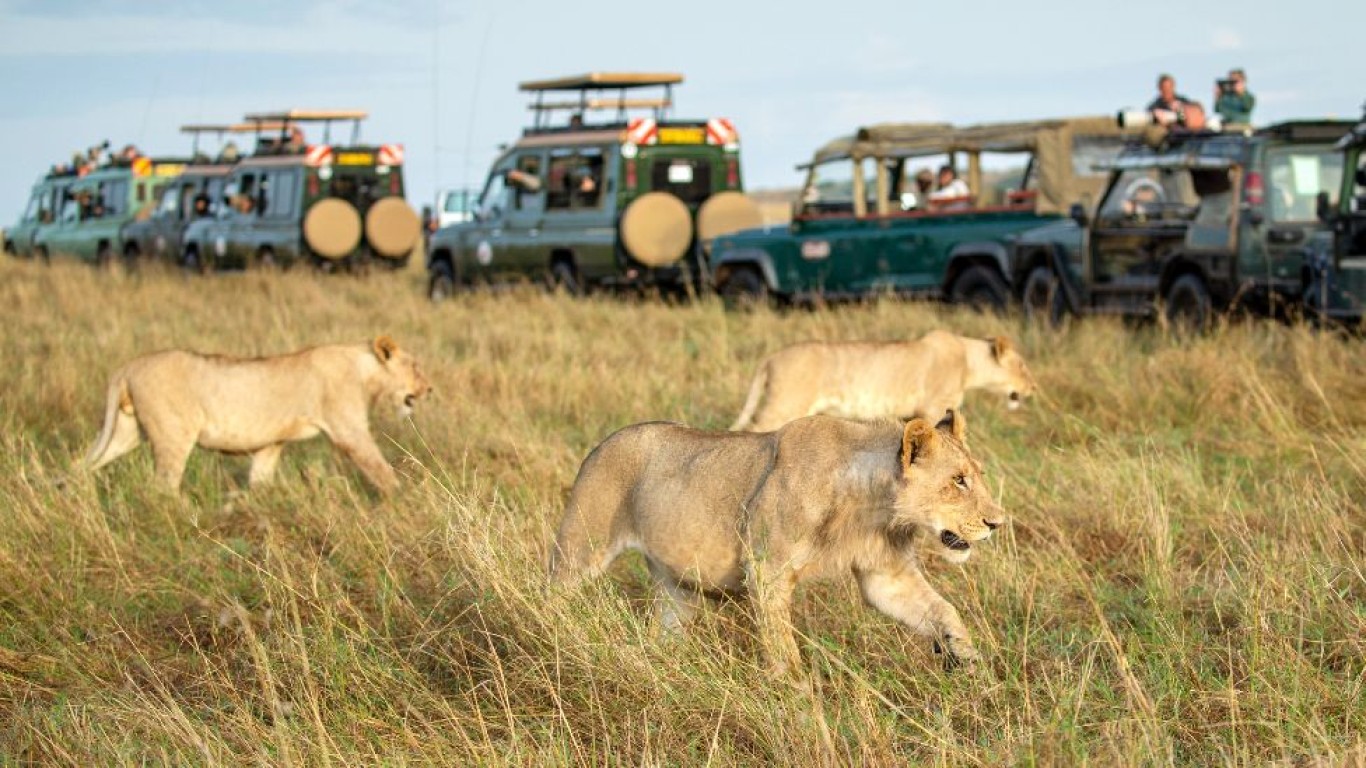 7 Days Masai Mara & Northern Kenya Game parks Safari