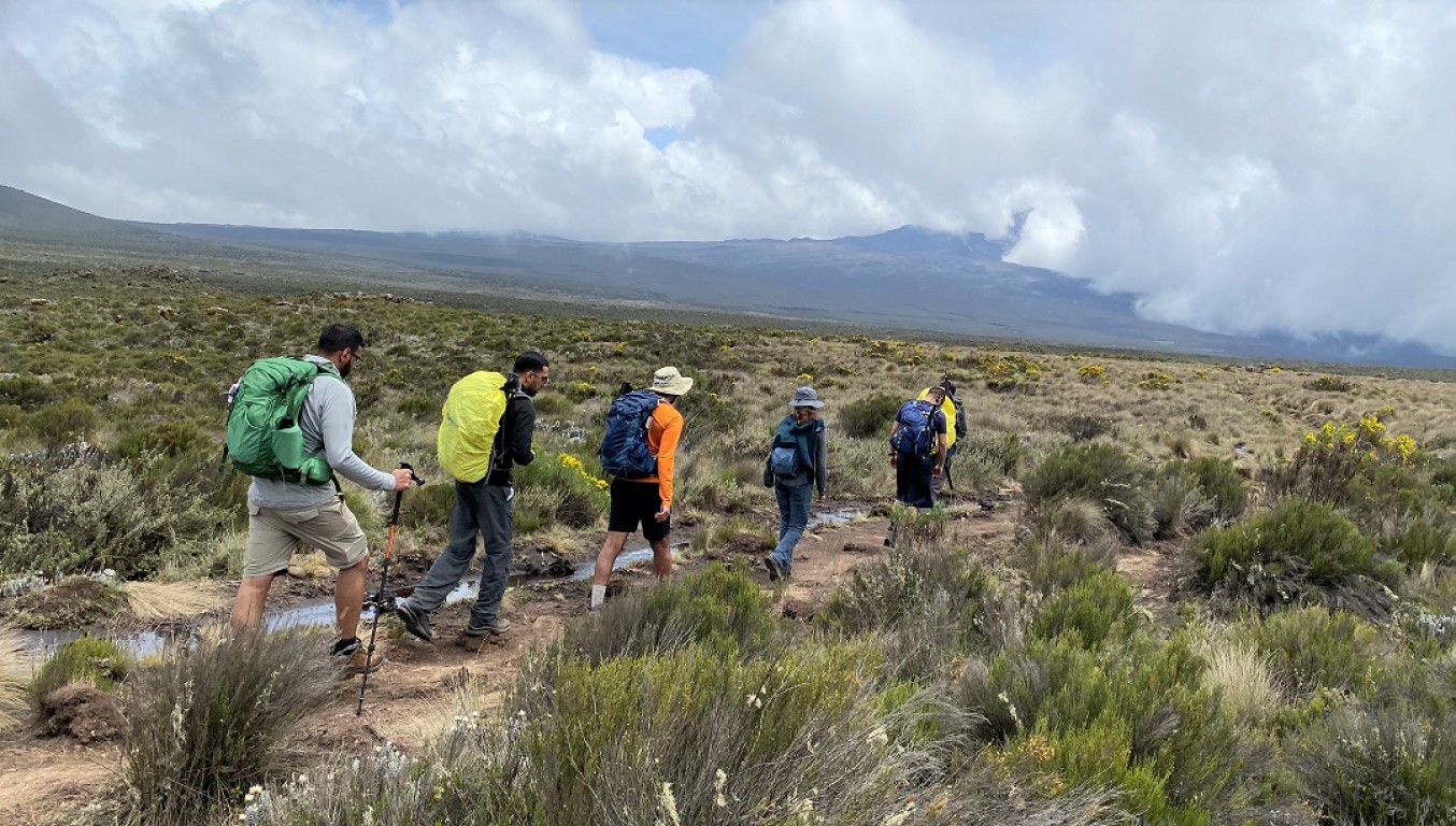 Climb Mt. Kilimanjaro Via Lemosho Route 8 Days + 2 Nights Hotel in Moshi